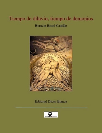 Tiempo de diluvios - Portada 330 X 430